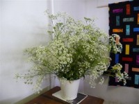 zomerfair 2010 012.jpg